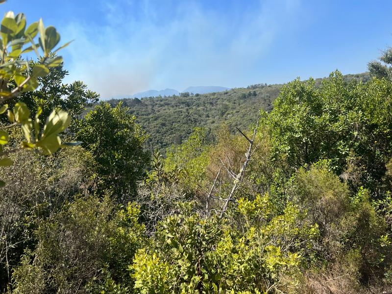 0 Bedroom Property for Sale in Ballots Bay Western Cape